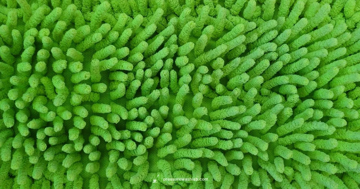 Mop vs Washer - Pressure Wash Lab