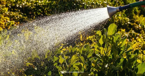 Nozzle for Hose Guide - Pressure Wash Lab