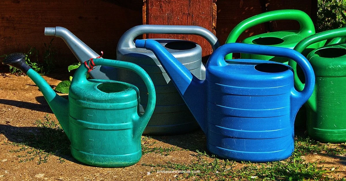 Cordless Tanked Washer - Pressure Wash Lab