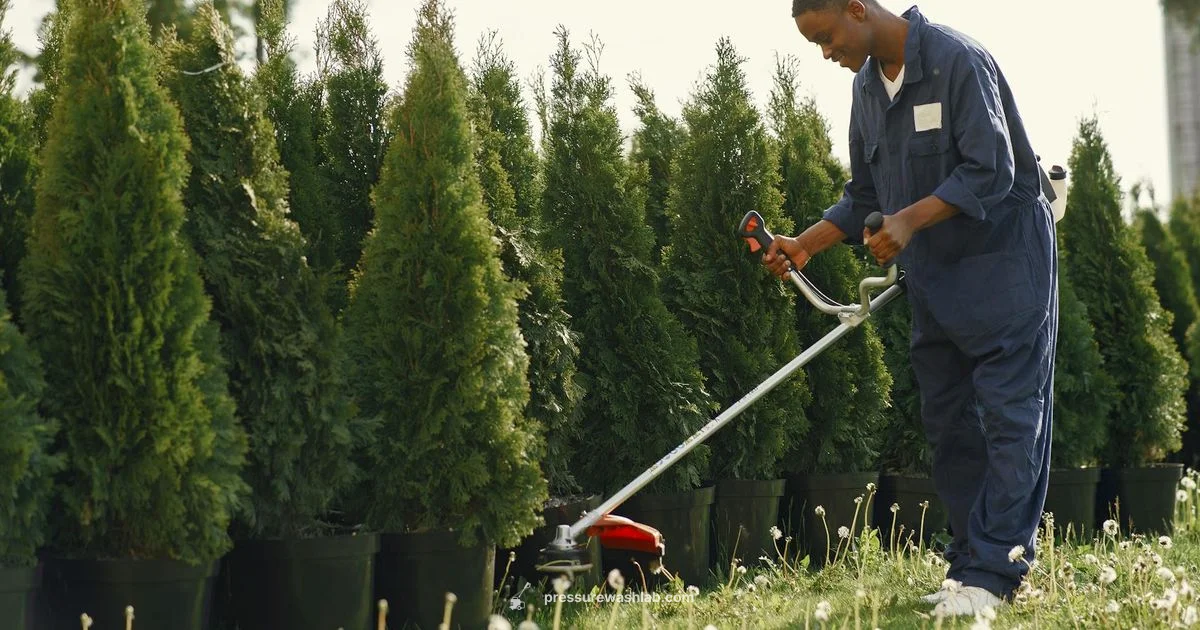 Pressure Wand Guide Pressure Wand Guide - Pressure Wash Lab