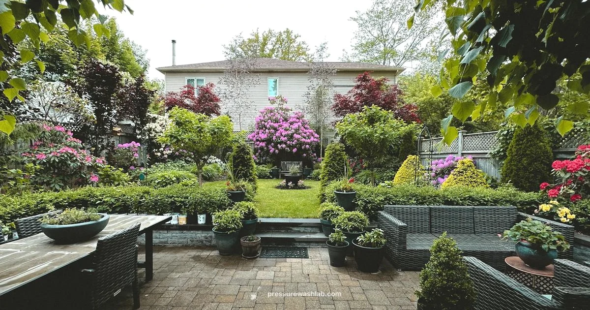 Ozito vs Gerni Showdown - Pressure Wash Lab