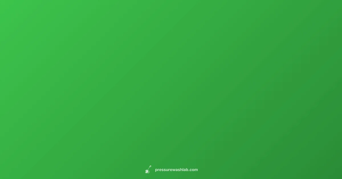 Ryobi Pressure Washer Basics - Pressure Wash Lab (illustration)