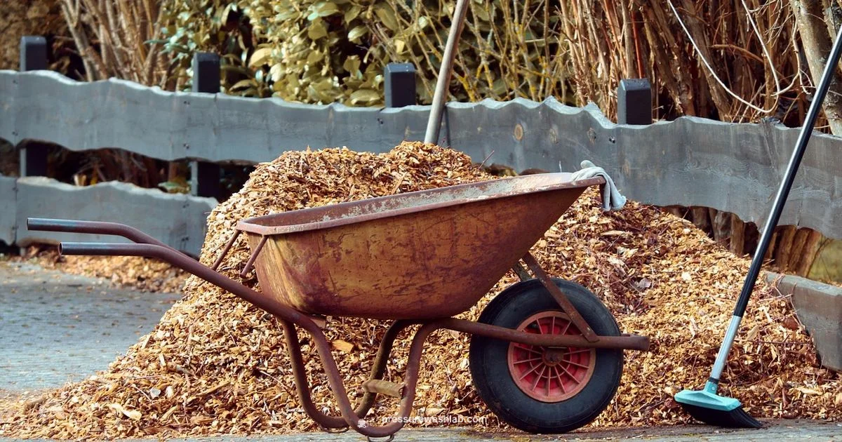 Alternative Concrete Cleaning - Pressure Wash Lab