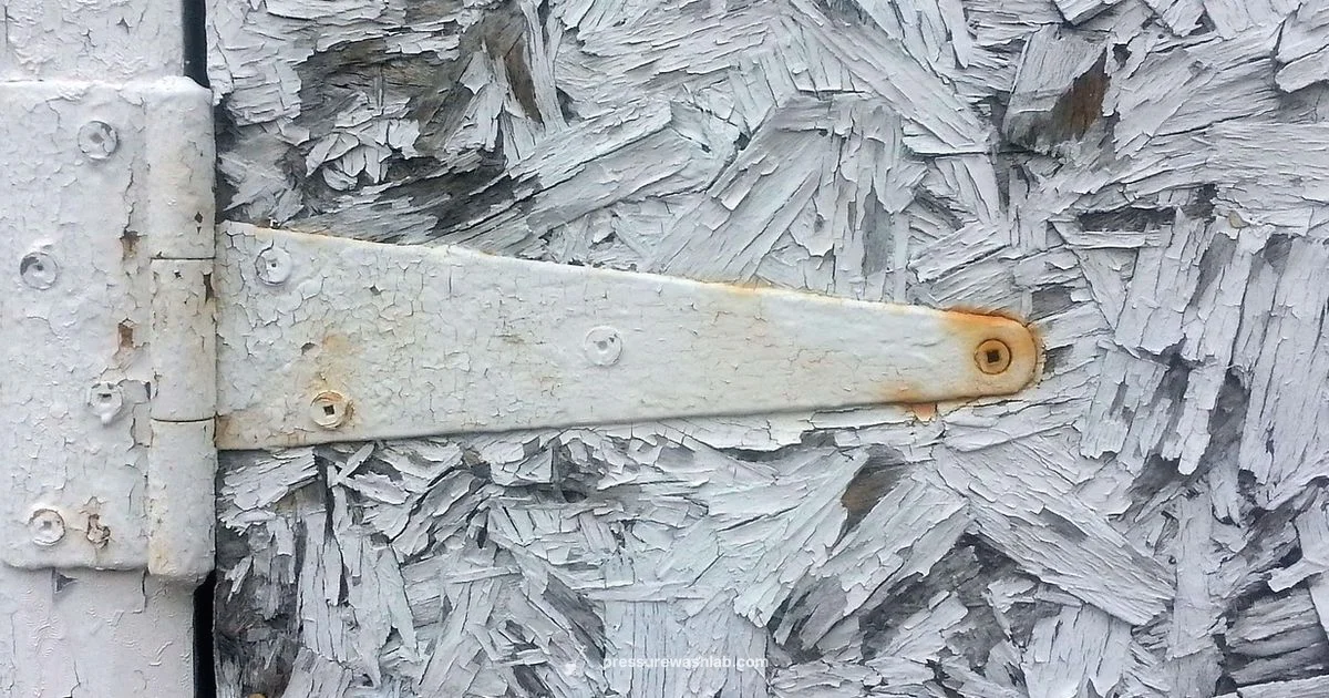 AR Blue Clean Review - Pressure Wash Lab