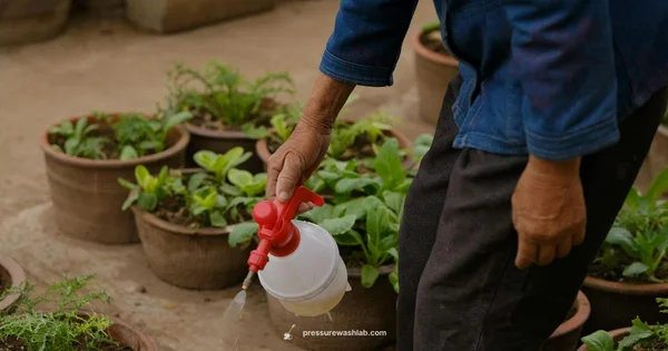 Small Pressure Washer Guide - Pressure Wash Lab