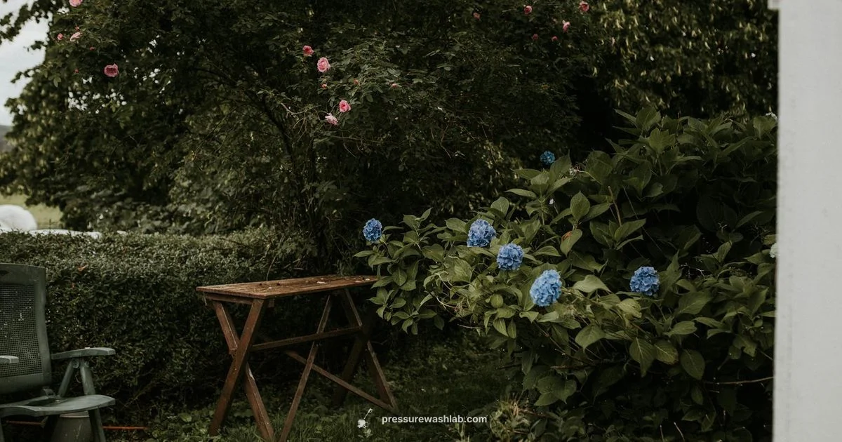 Homelite Power Washer - Pressure Wash Lab