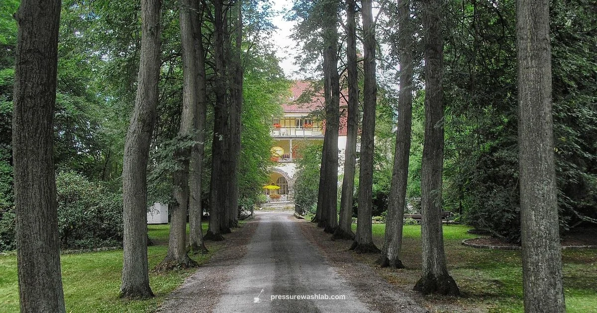 Kärcher Washer Review - Pressure Wash Lab