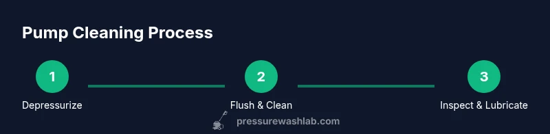 Three-step pump cleaning process infographic