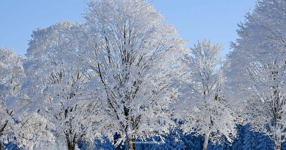 Protect Your Washer - Pressure Wash Lab