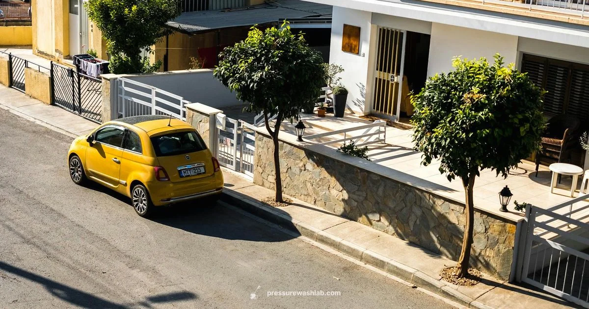 Cartoon PW Review - Pressure Wash Lab