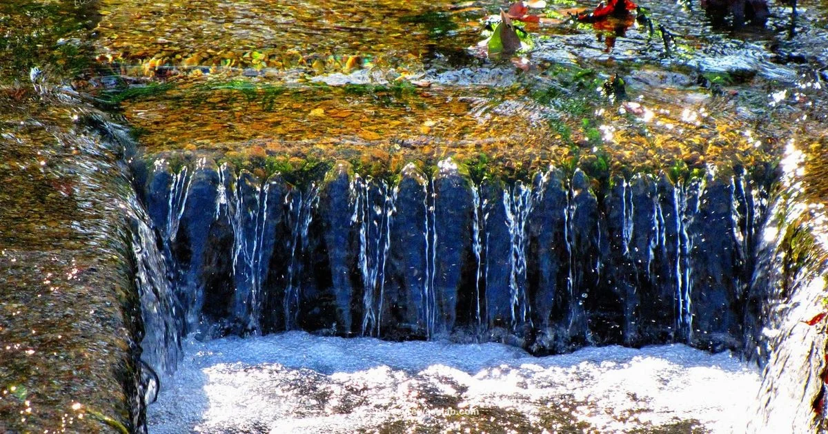 Drain Cleaning Guide - Pressure Wash Lab