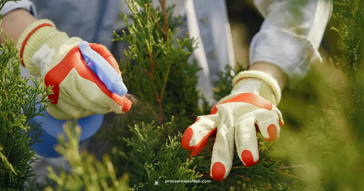 Cordless Spraying Power Cordless Spraying Power - Pressure Wash Lab