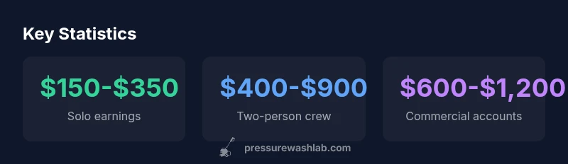 Key statistics on daily earnings for pressure washers